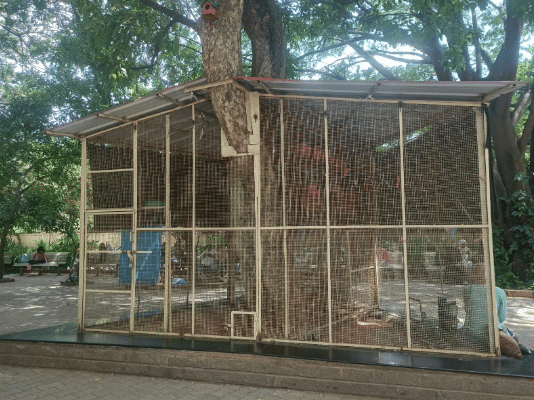 Bishop Cotton Women's Christian Law College Bangalore Infrastructure photo 5